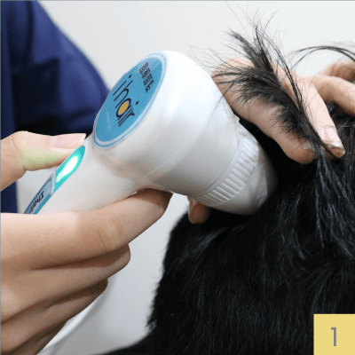 醫療光健髮步驟-醫療光健髮課程-新竹頭皮照光