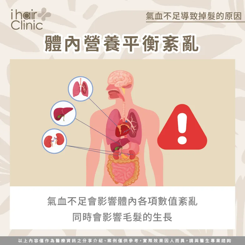 破壞體內平衡-氣血不足 禿頭-氣血不足 掉髮